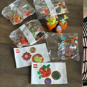 LEGO Vibrant Succulent Display Set